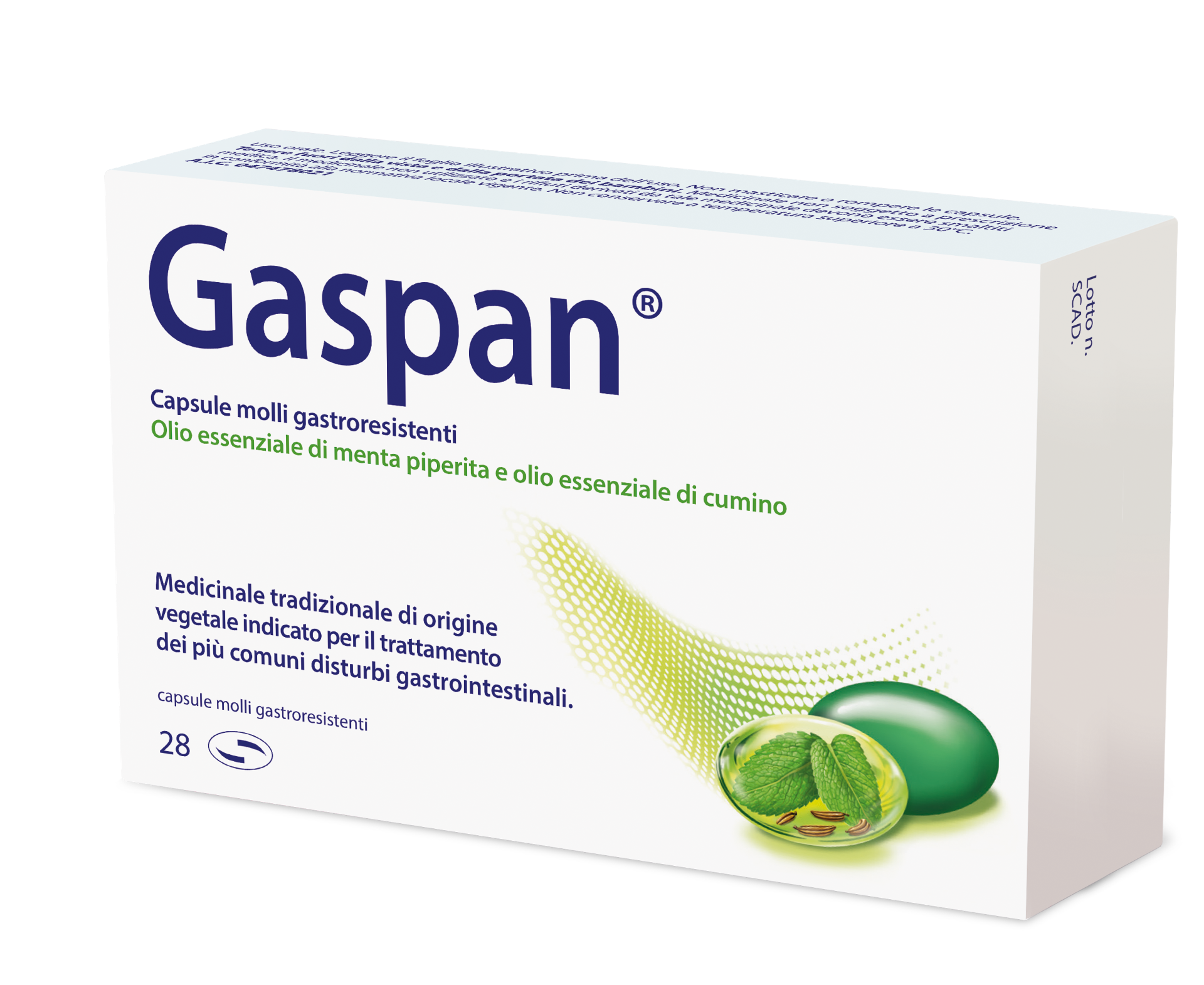GASPAN 28CPS MOLLI GASTRORES